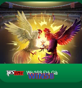 WIN58